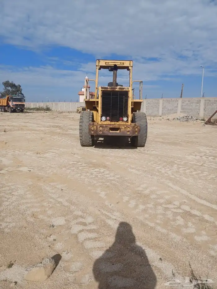 شيول زاهد للبيع 1