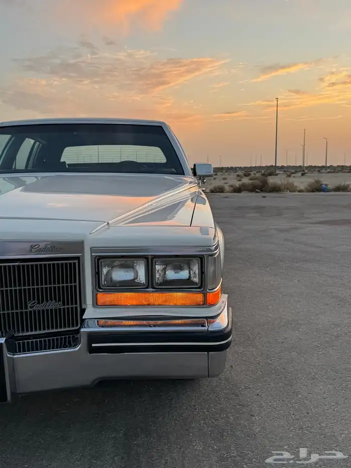 للبيع كدلك بروقهام فليتوويد دي إلنجانس 1981 45