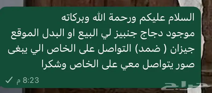 موجود دجاج جنبيز لي البيع او البدل بي دجاج زينه الموقع ضمد 0