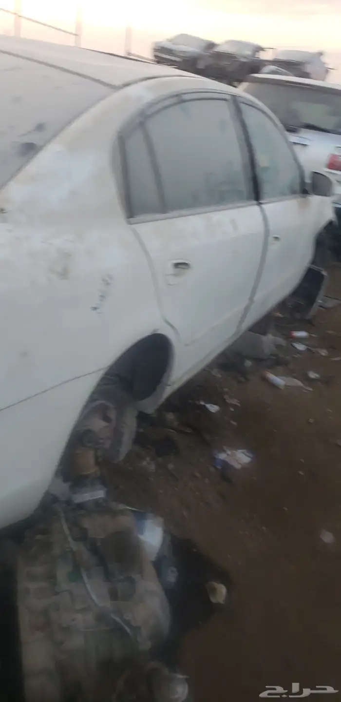 تشليح مكسيما التيما صني 2