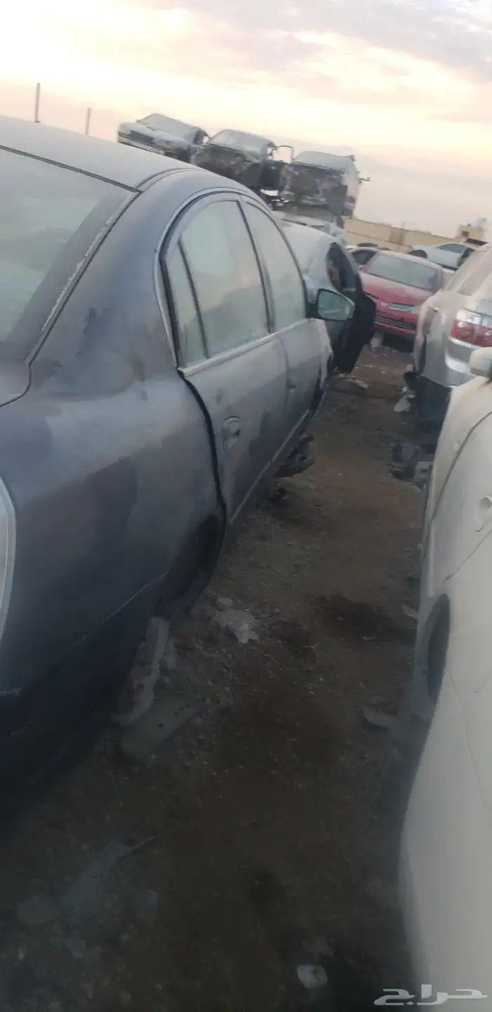 تشليح مكسيما التيما صني 1