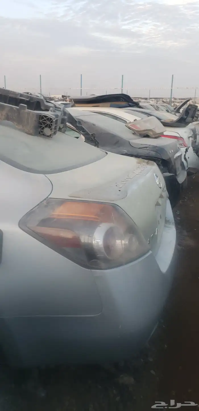 تشليح مكسيما التيما صني 5