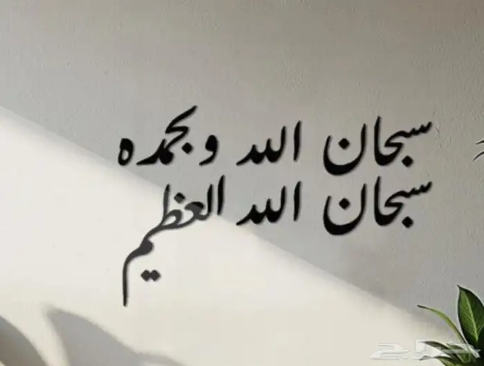 حوش للايجار 0