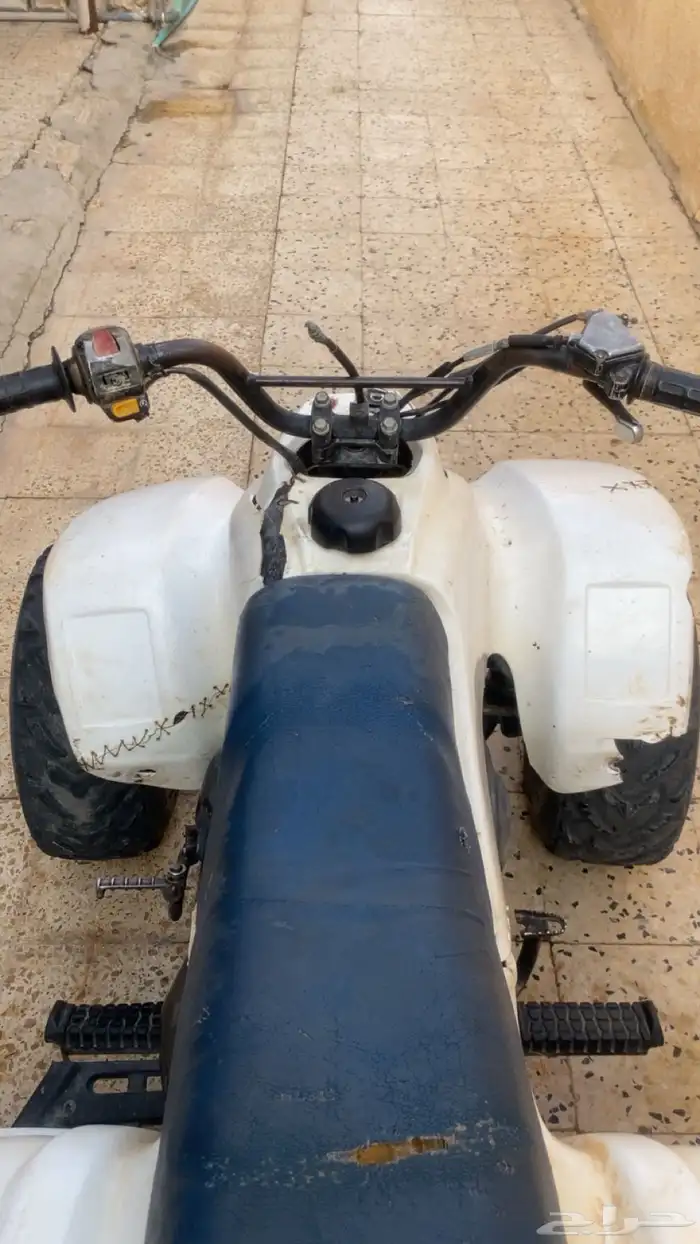 دباب للبيع 3