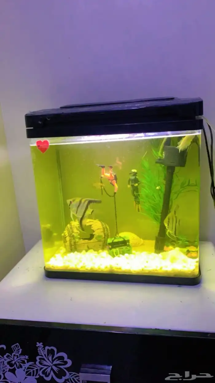 لبيع حوض سمك 1