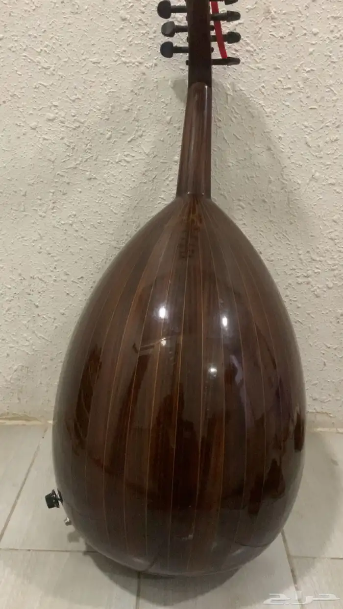 عود للبيع 1