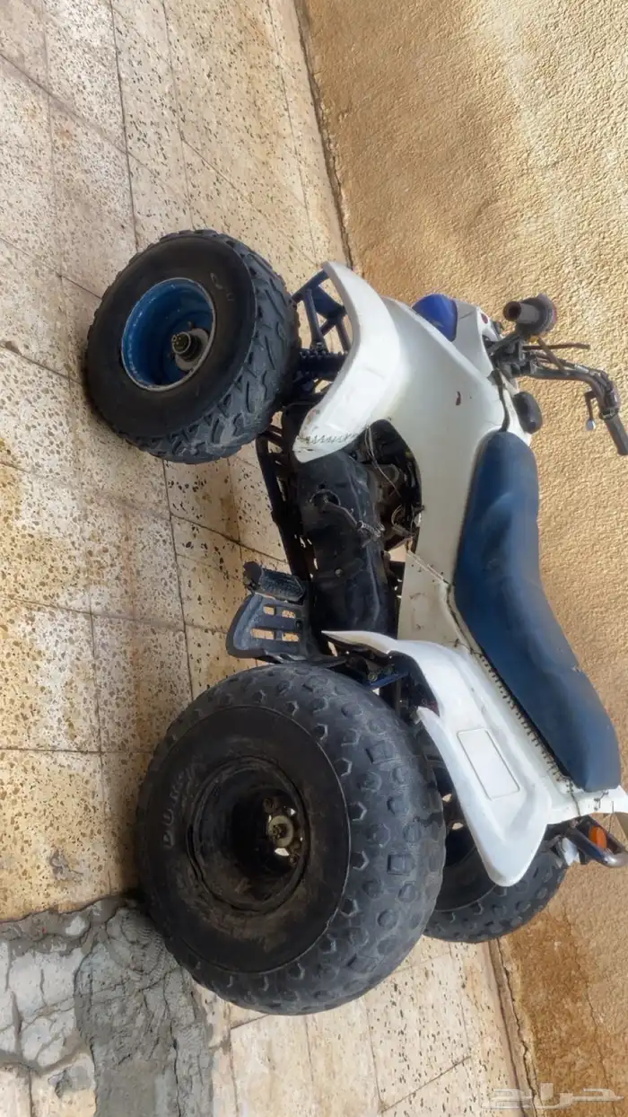 دباب للبيع 4