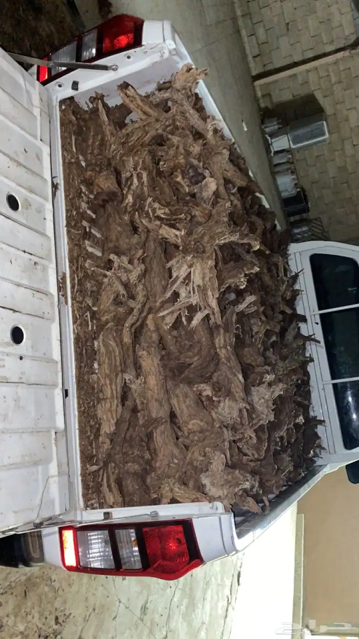 صندوق شاص طويل 0