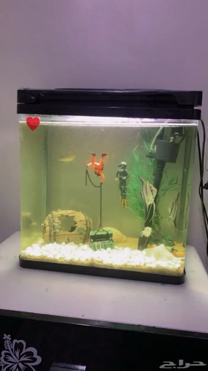 لبيع حوض سمك 0