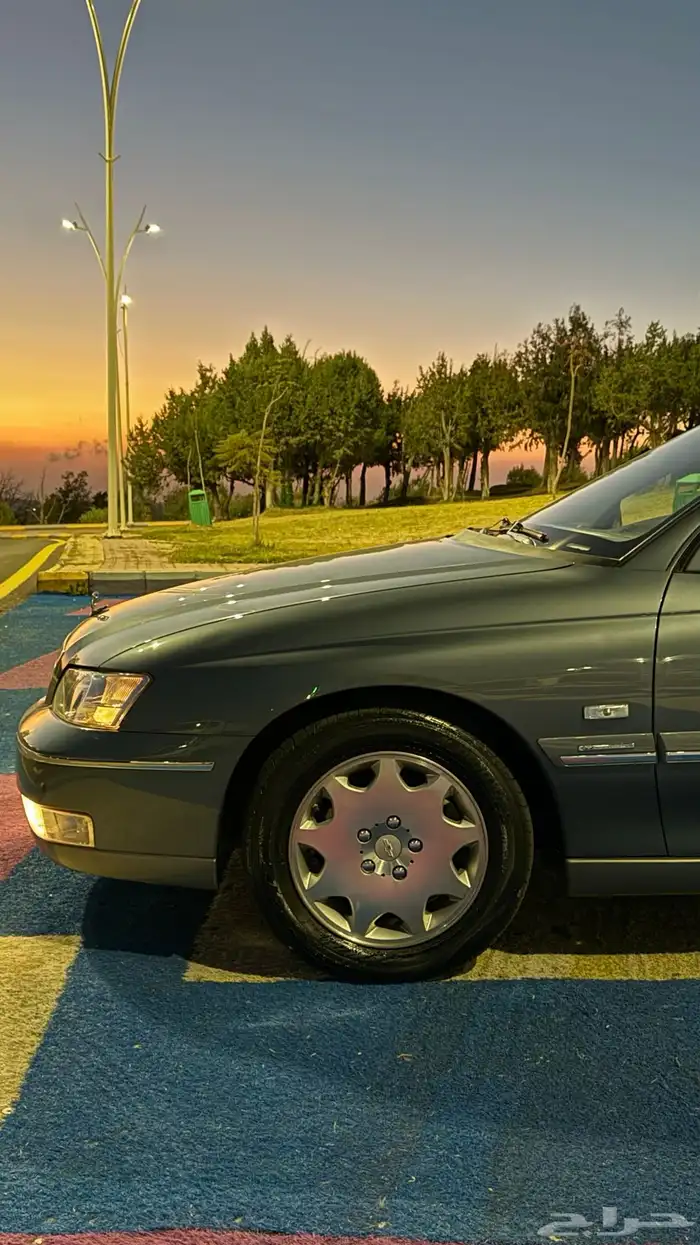 كابرس 2006 رويال 8