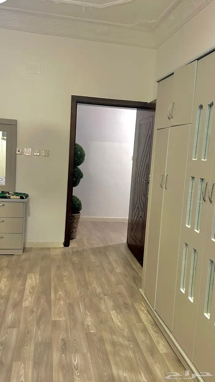 عرض الشتاء 350 12