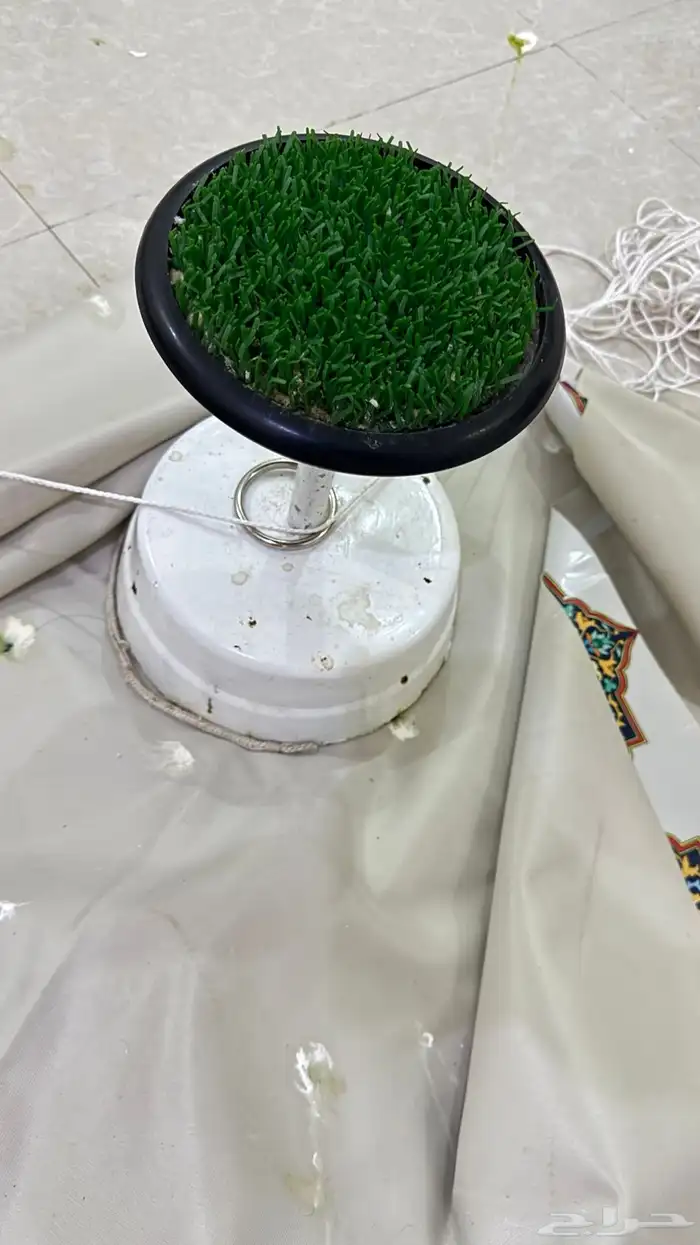 وكر ودس واشياء اكثر 4