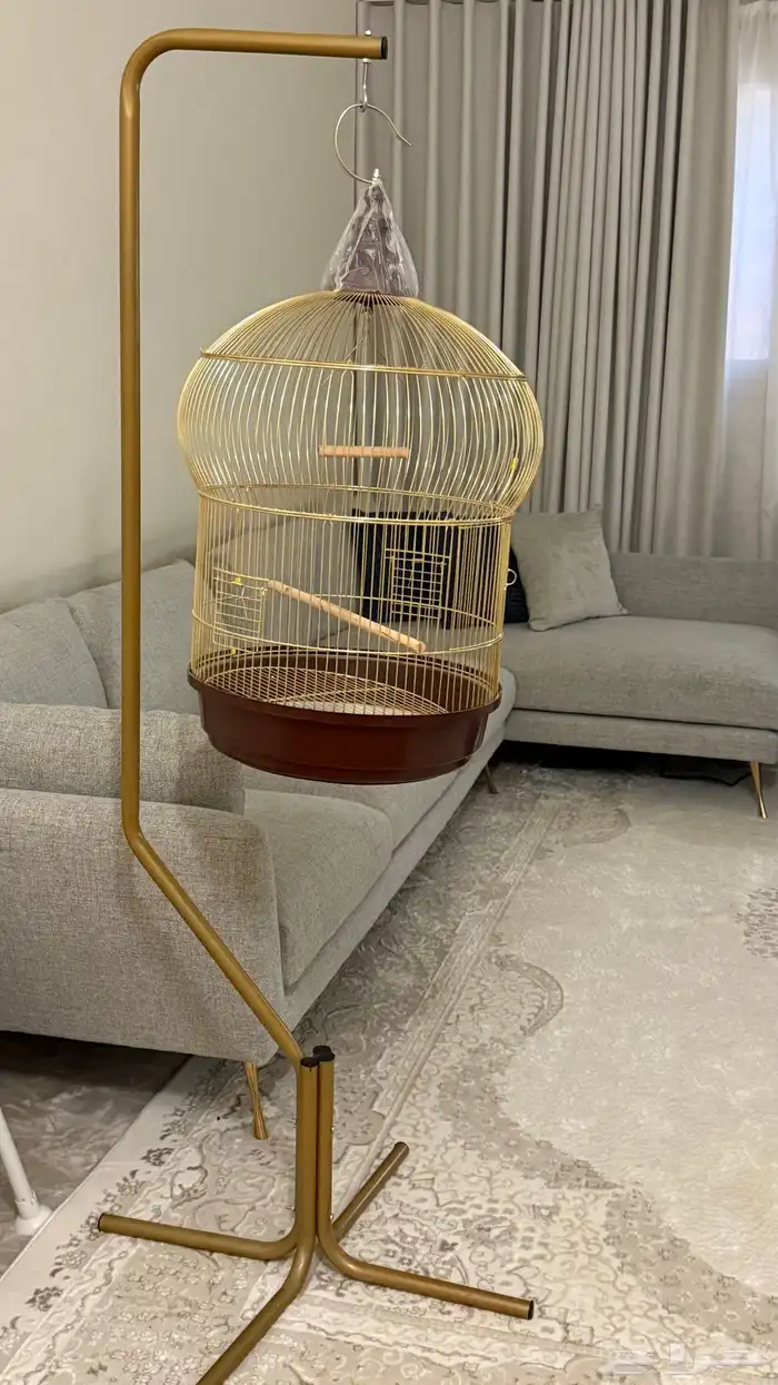 قفص عصافير 1