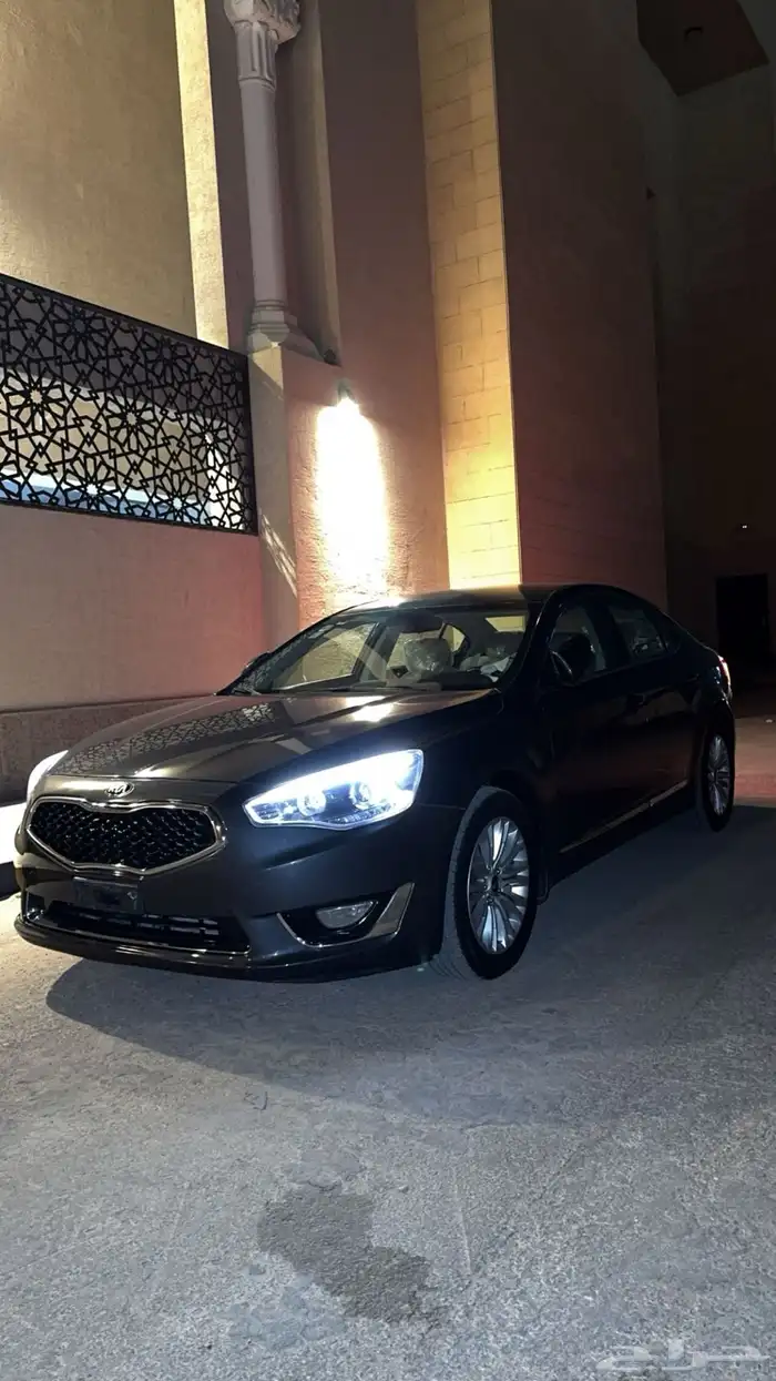 كادينزا 2014 14