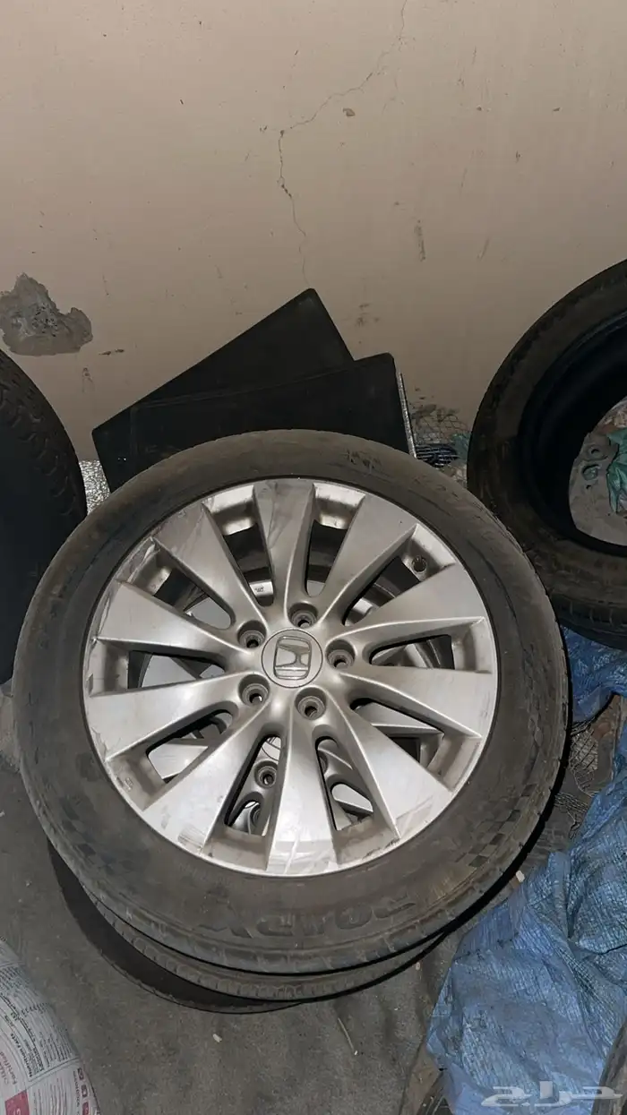 جنوط اكورد 1