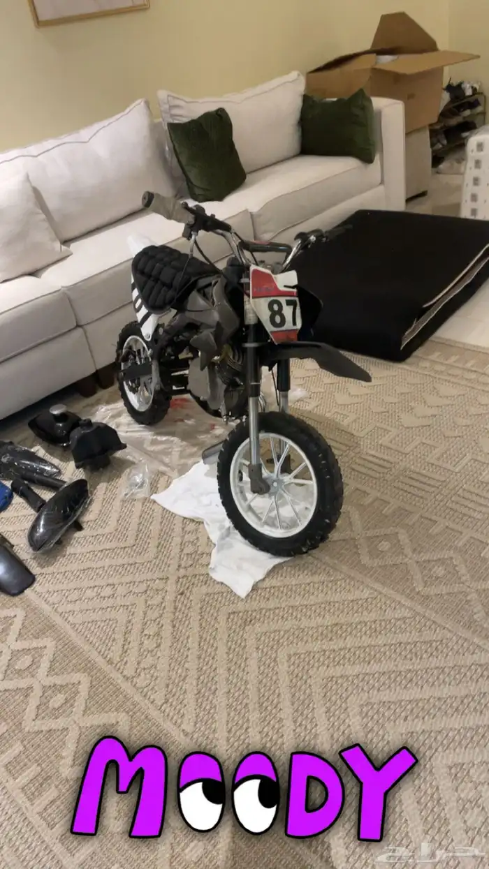 دباب صحراوي صغير 3