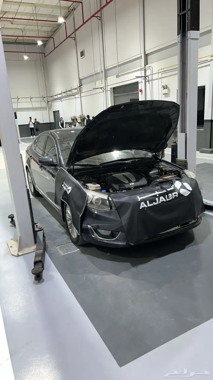 كادينزا 2014 16