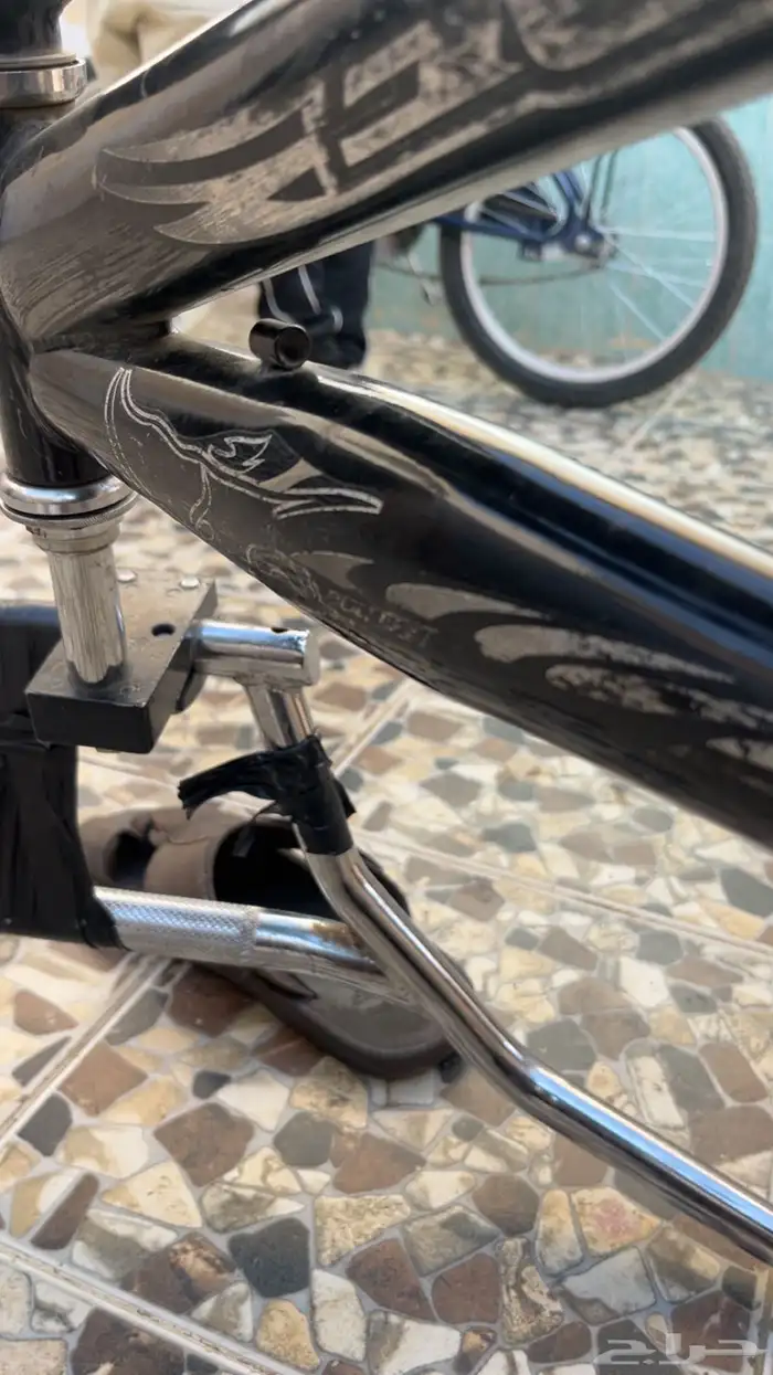 سياكل وجنوط 6