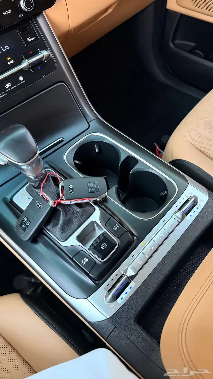 كارنيفال 2021 ( ديزل 11 راكب ) فل بحالة الوكالة 13