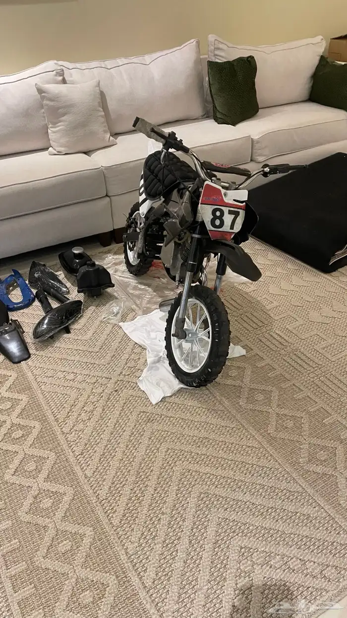 دباب صحراوي صغير 2