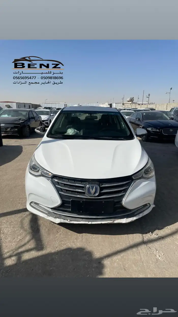 شانجان ال سفن مصدوم 3