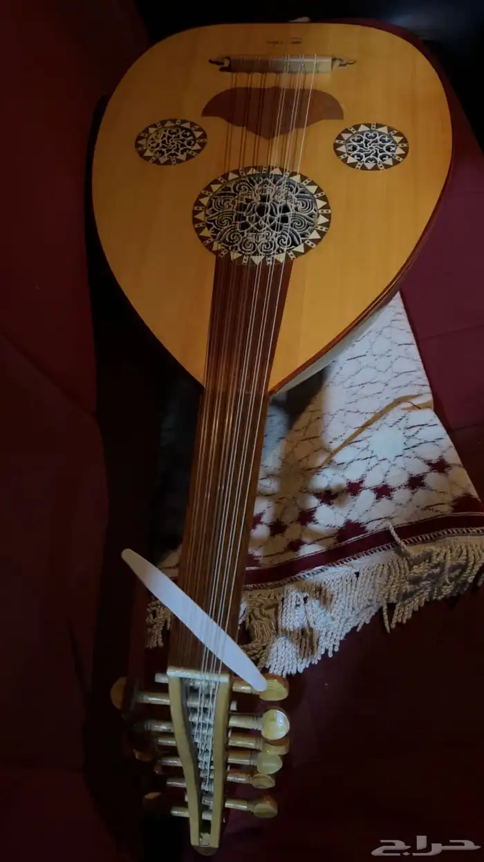 عود جديد للبيع 0