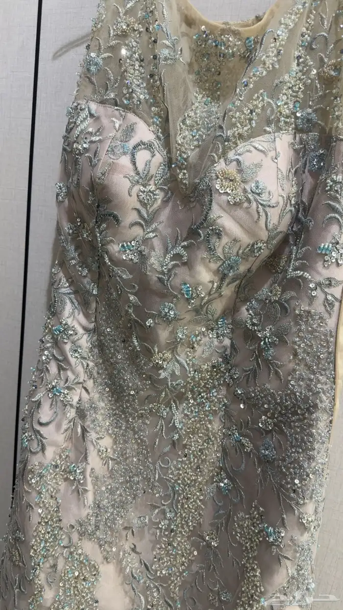 الشرايع مخطط -5 2