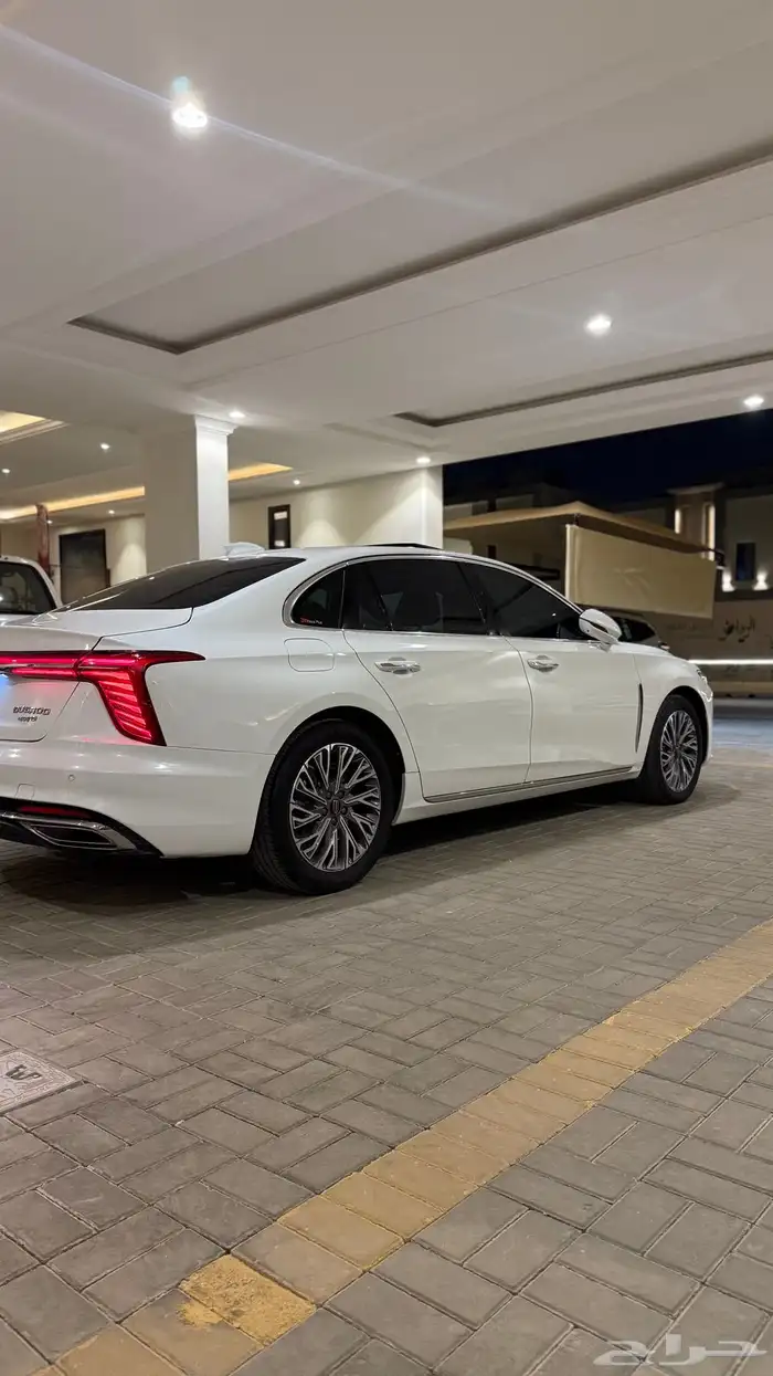 هونشي 2024 ممشي قليل 28