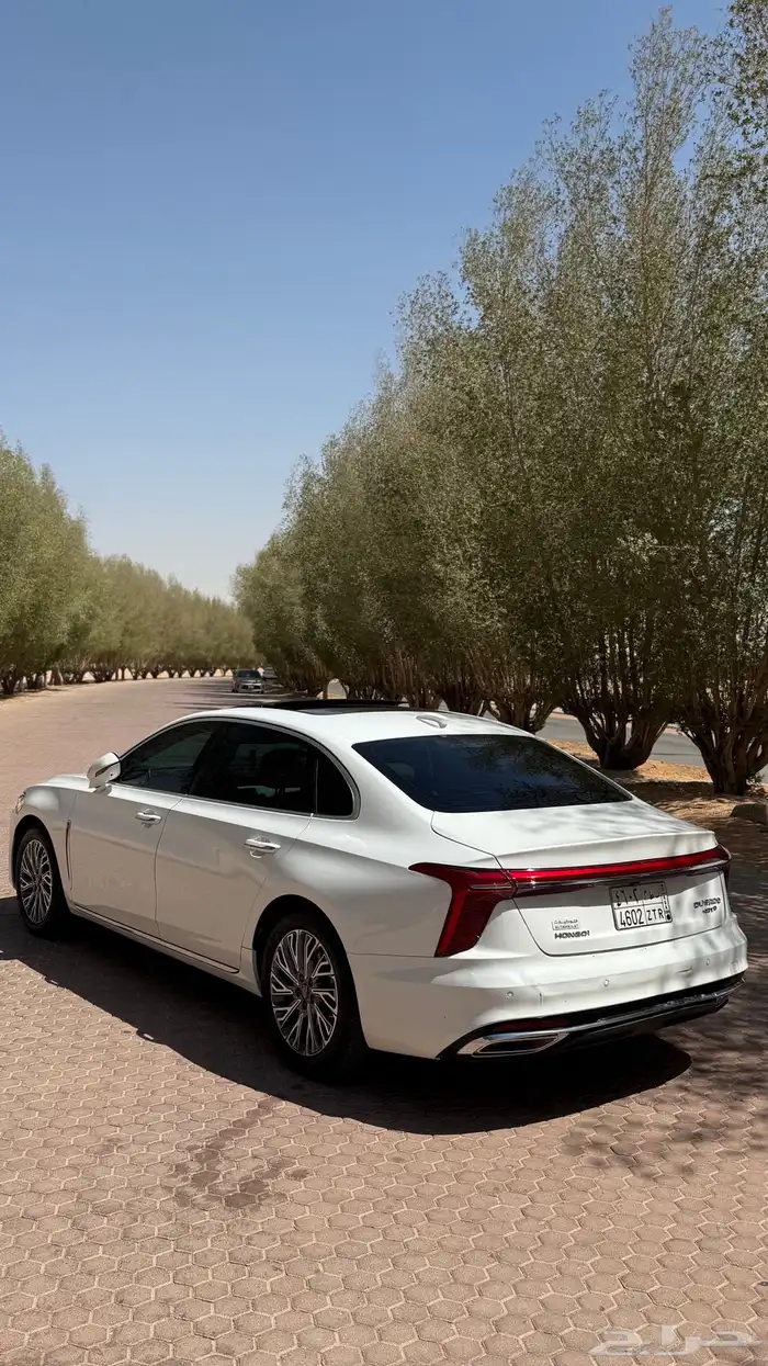 هونشي 2024 ممشي قليل 10