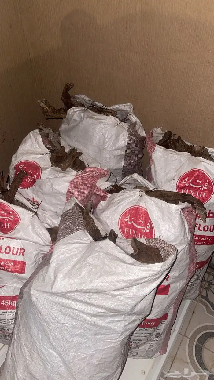 رمث وارطى شي طيب وفاخر ع 50 الجميع 2