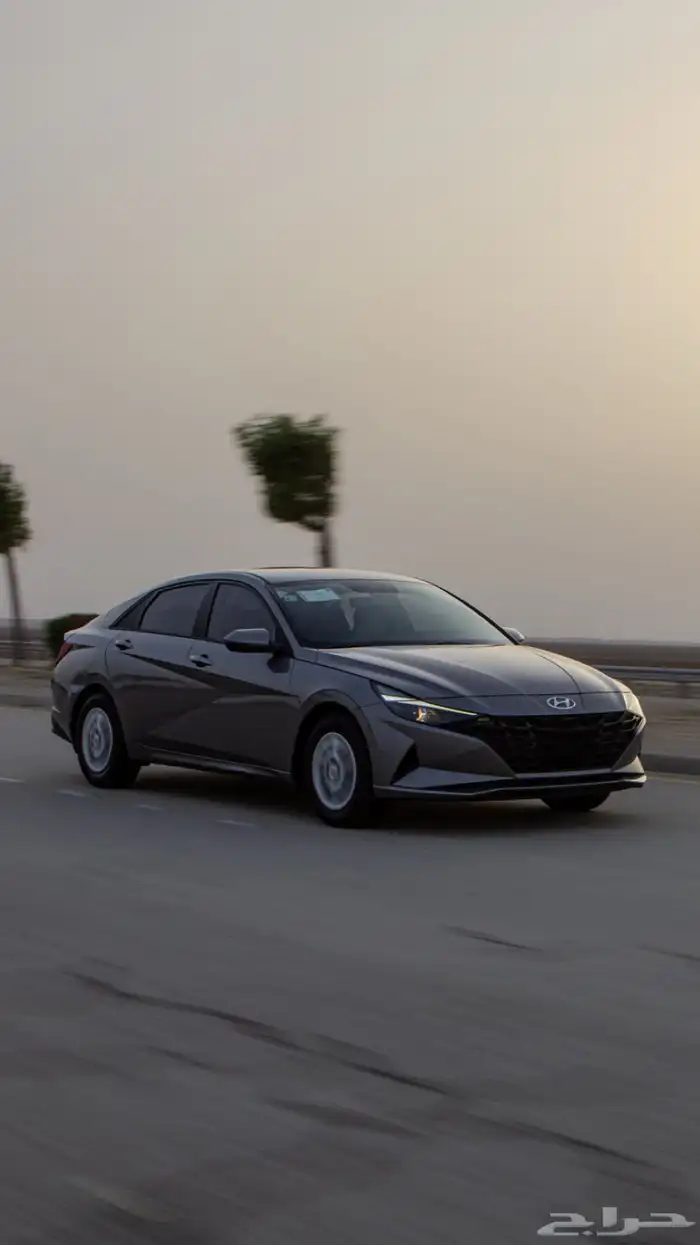 النترا 2023 2000 cc 8