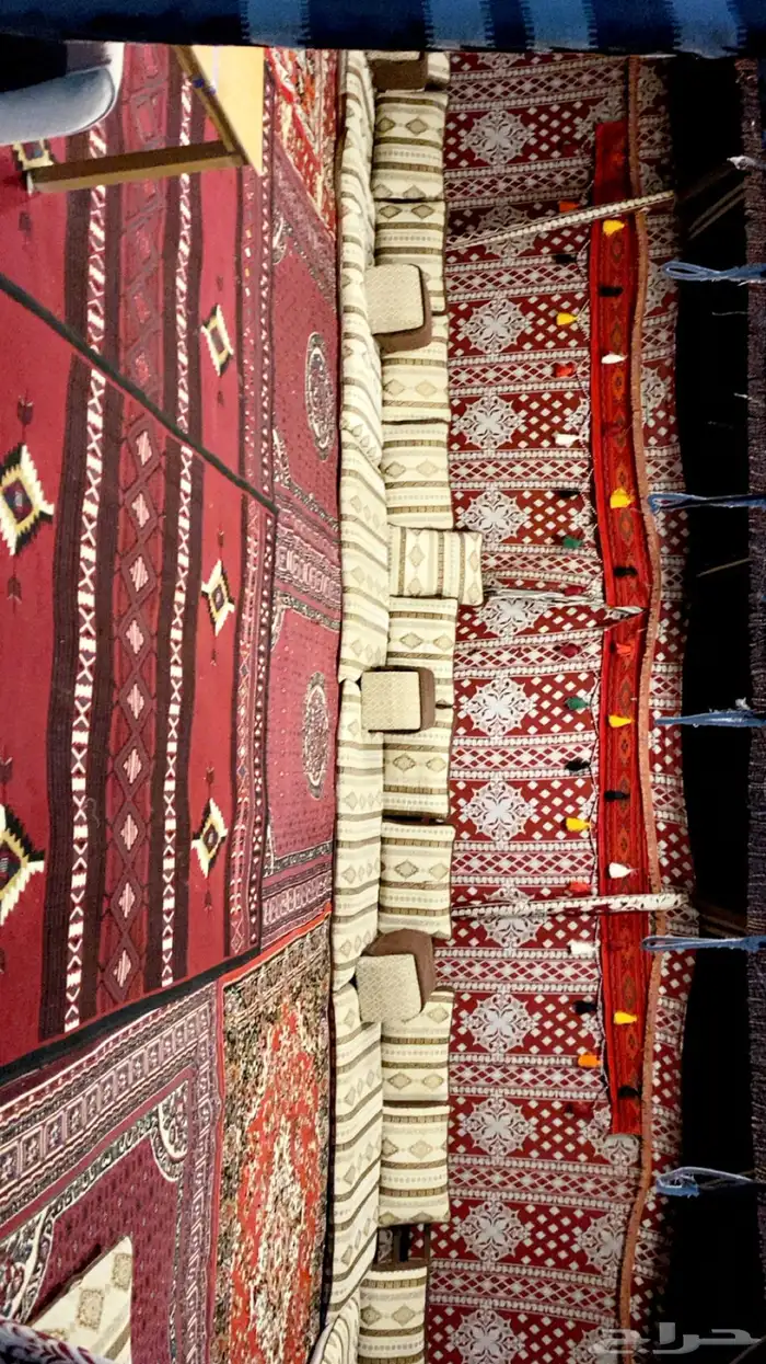 مخيم الراقي للايجار اليومي قسمين 10