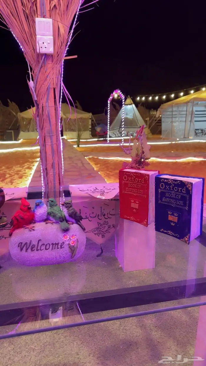 مخيم الريم للايجار اليومي قسمين 28