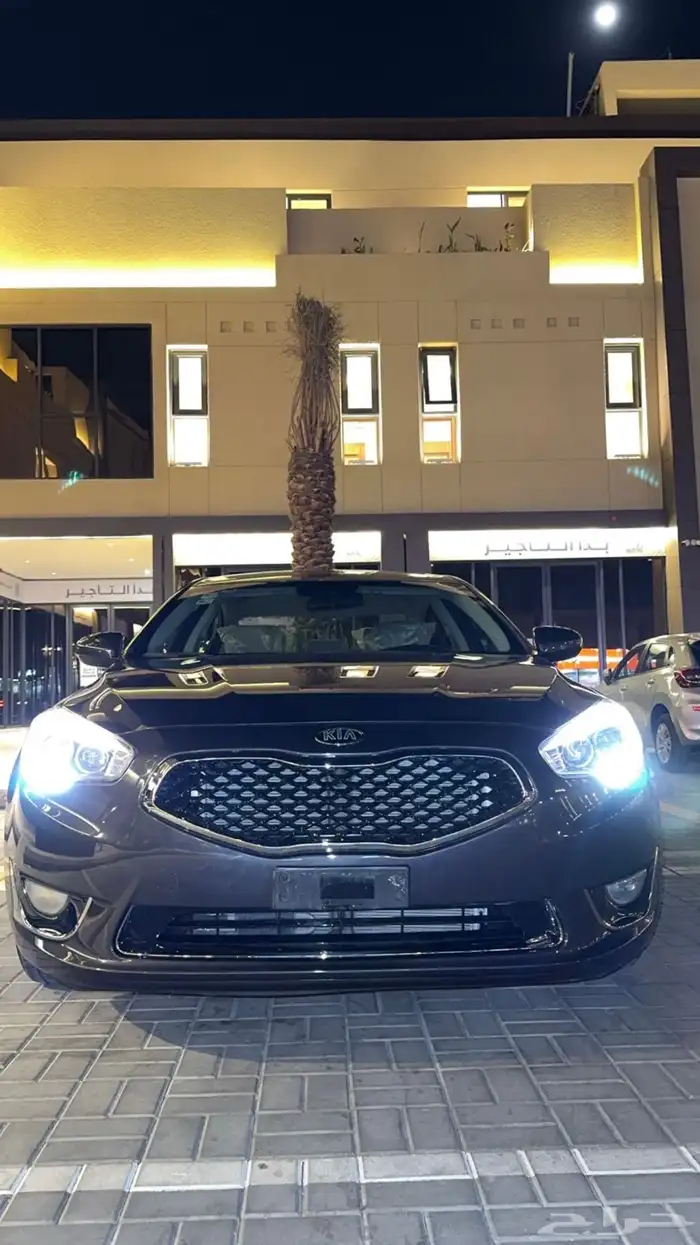 كادينزا 2014 2