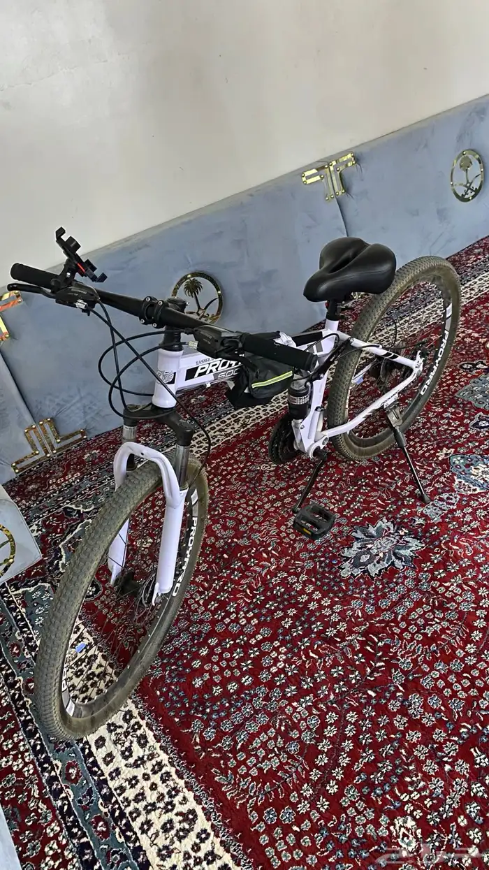 للبيع سيكل رياضي حجم كبير استخدام اسبوع 0