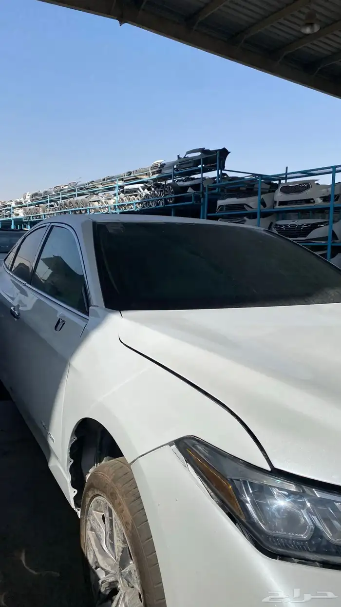 افلون 2019 (تشليح) 3