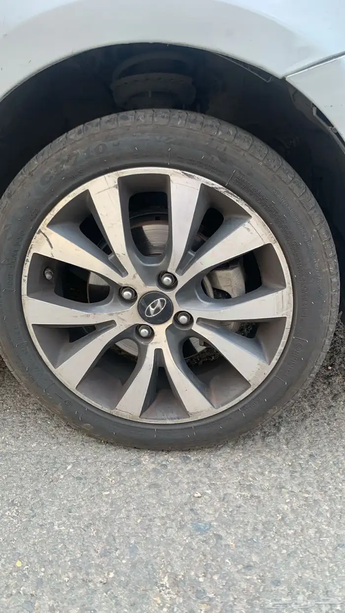 جنوط اكسنت وكالة 1