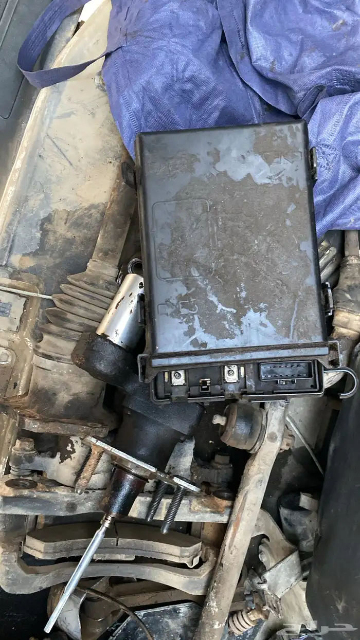 ان سافانا2011 3