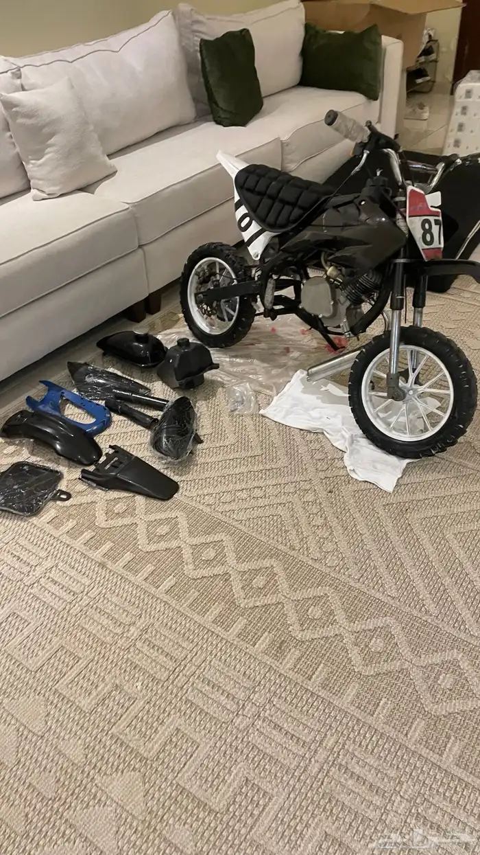 دباب صحراوي صغير 10