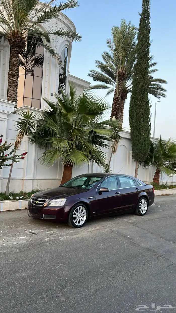 كابرس 2015 عنابي 0