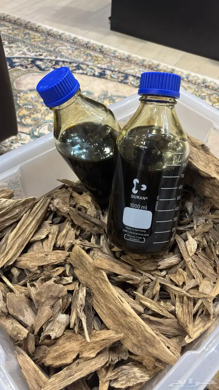 عودة ودهن عود 2