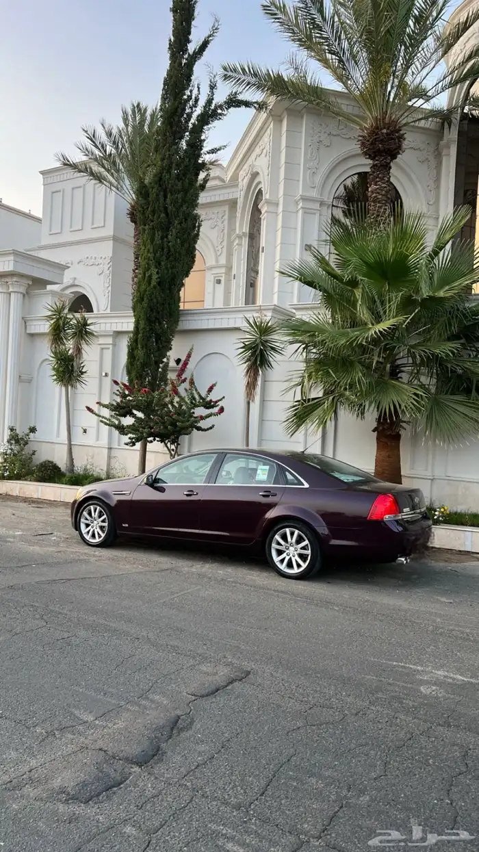 كابرس 2015 عنابي 1