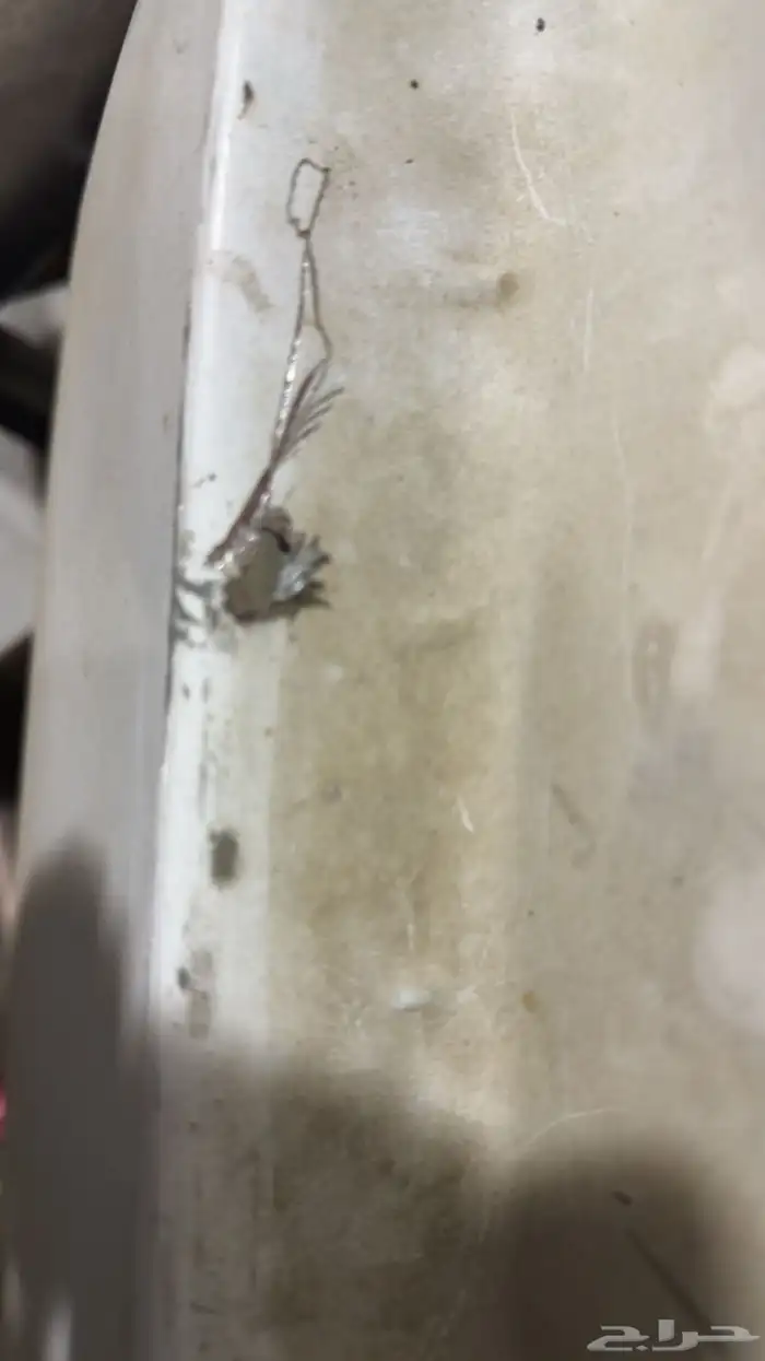 رفرف ددسن وكاله ابيض 2