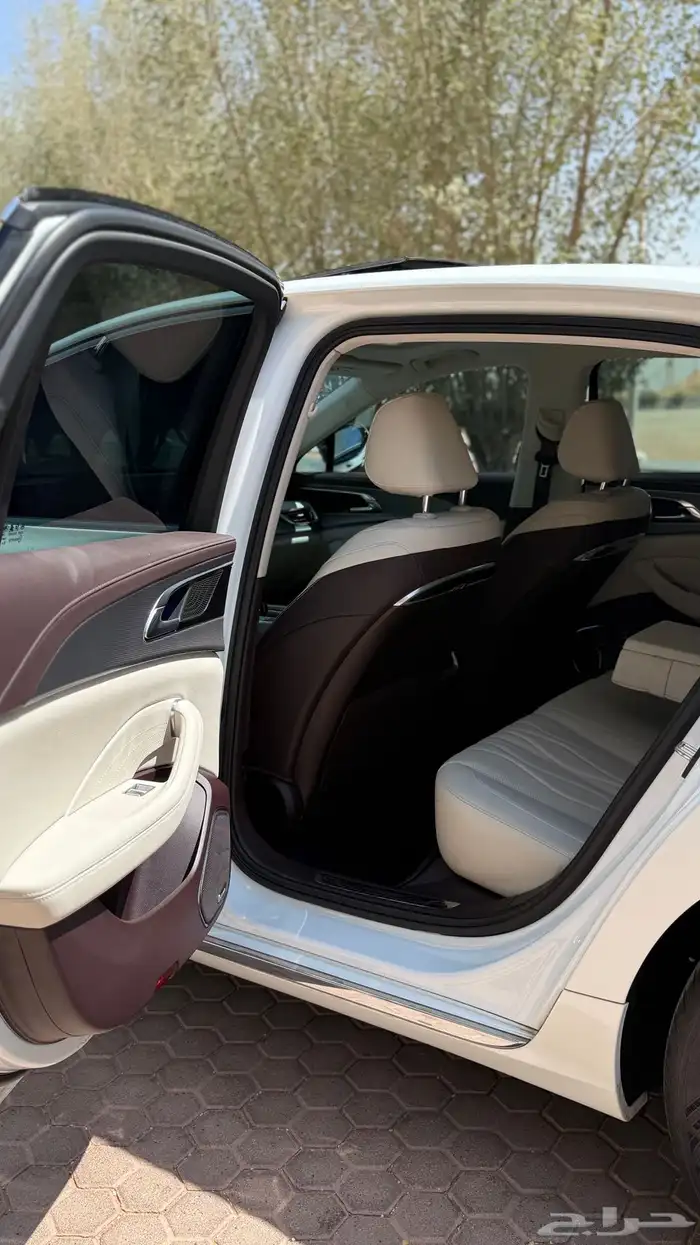 هونشي 2024 ممشي قليل 13