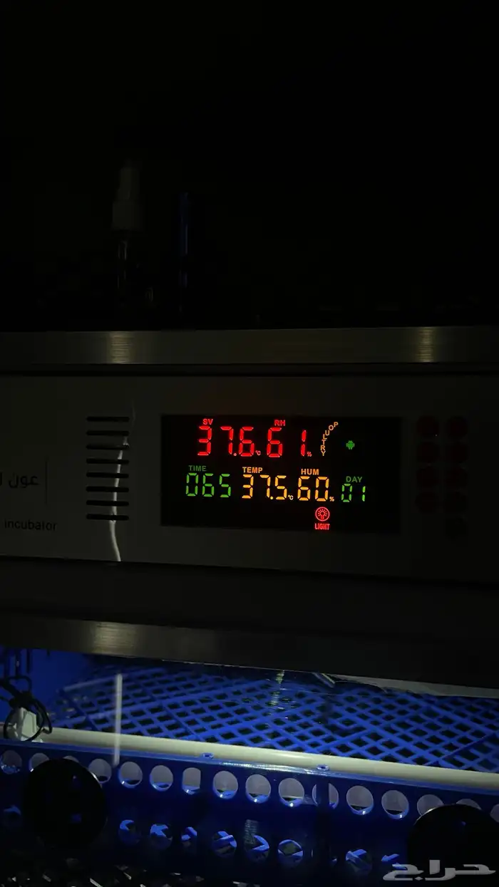 فقاسة عون المربي 2