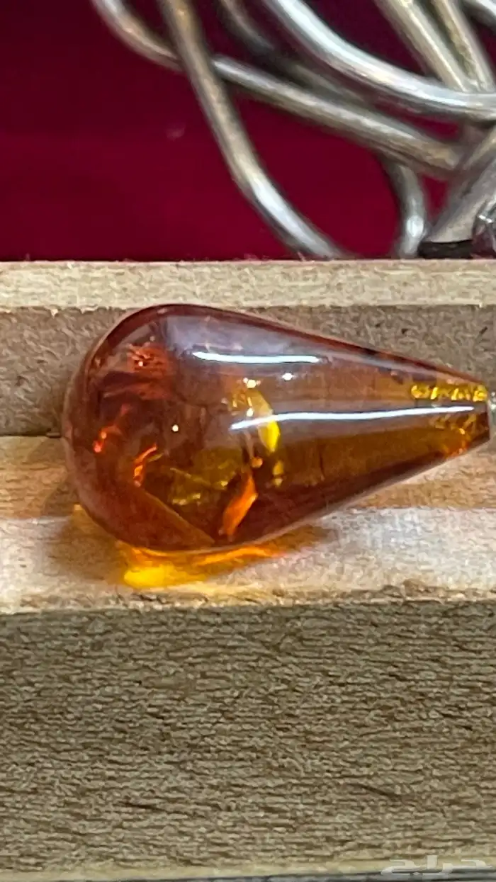 كركوشه. نوادر. 4