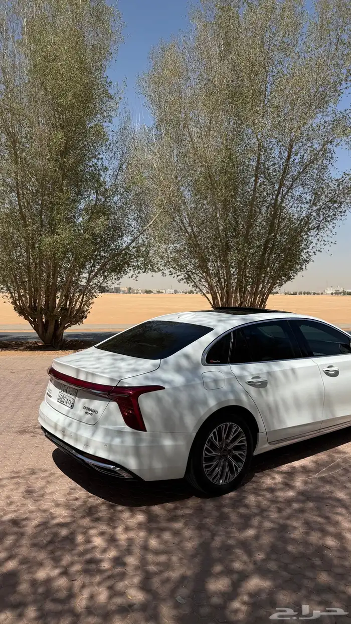 هونشي 2024 ممشي قليل 8