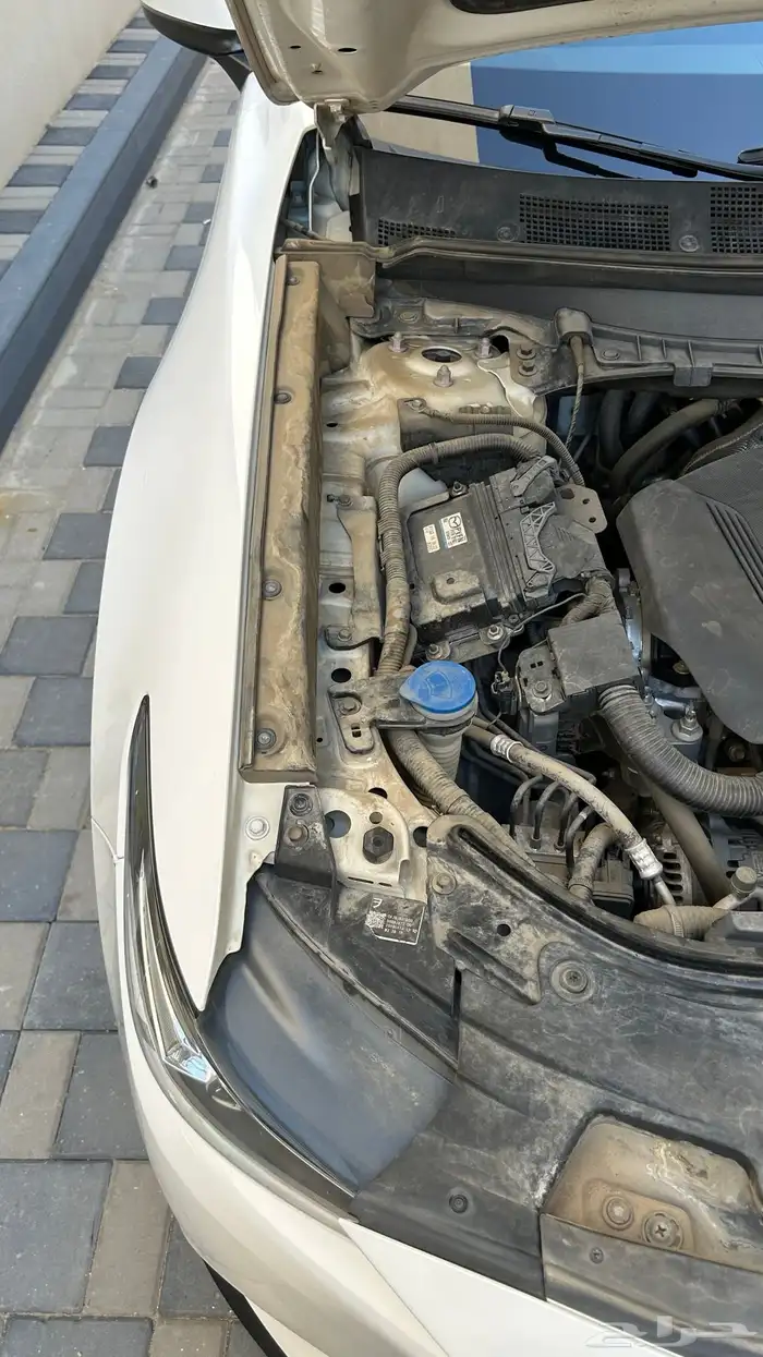 مازدا cx9 بلد 17