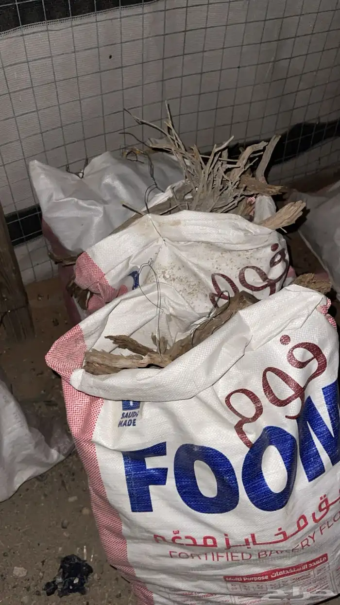 رمث وارطى شي طيب وفاخر ع 50 الجميع 0