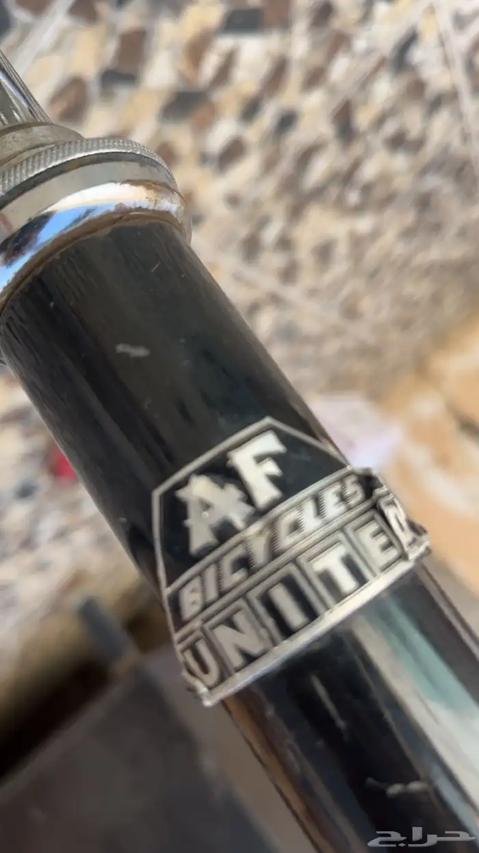 سياكل وجنوط 4